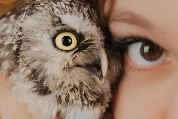 플레이허브 카지노 지원